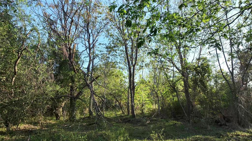 Lot 4 Tulane Drive, Lufkin, Texas image 28