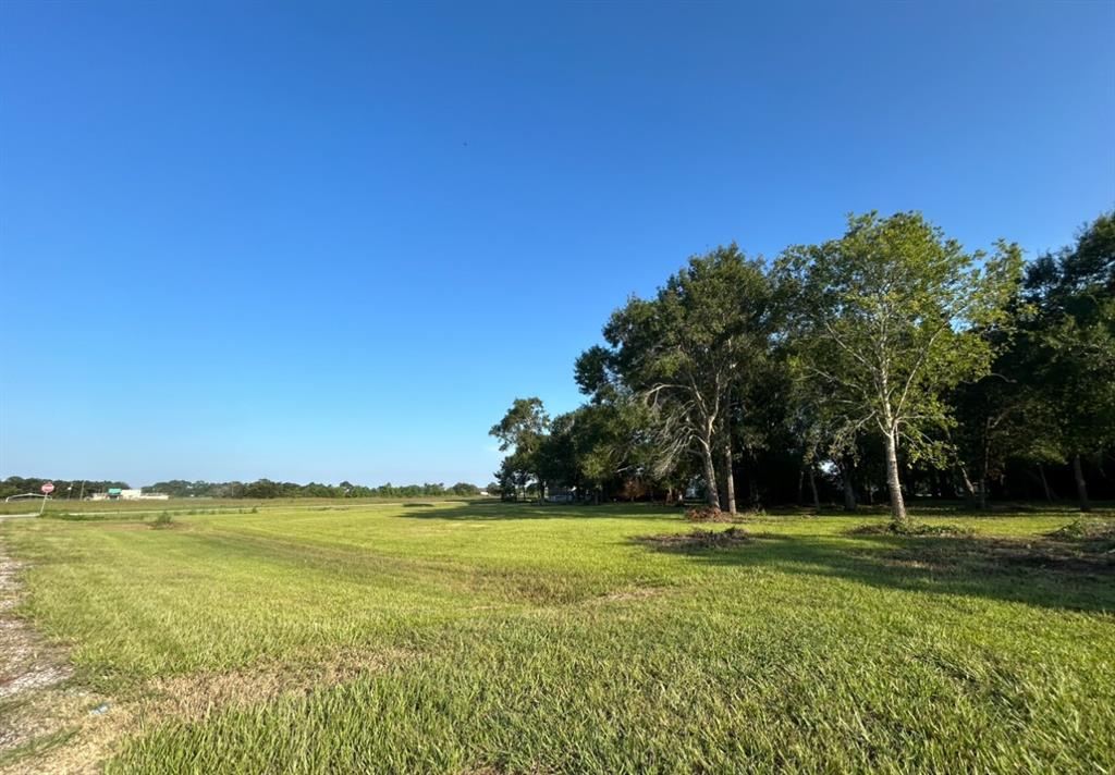 Oak Island Drive, Anahuac, Texas image 1