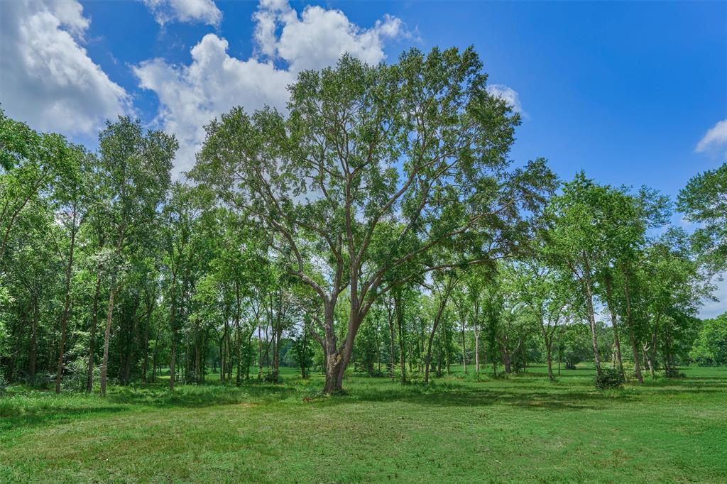 Tract C Sharp View Road, Montgomery, Texas image 10