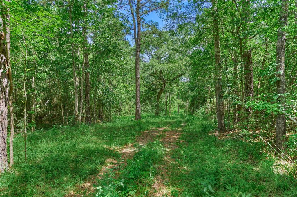 Tract C Sharp View Road, Montgomery, Texas image 6