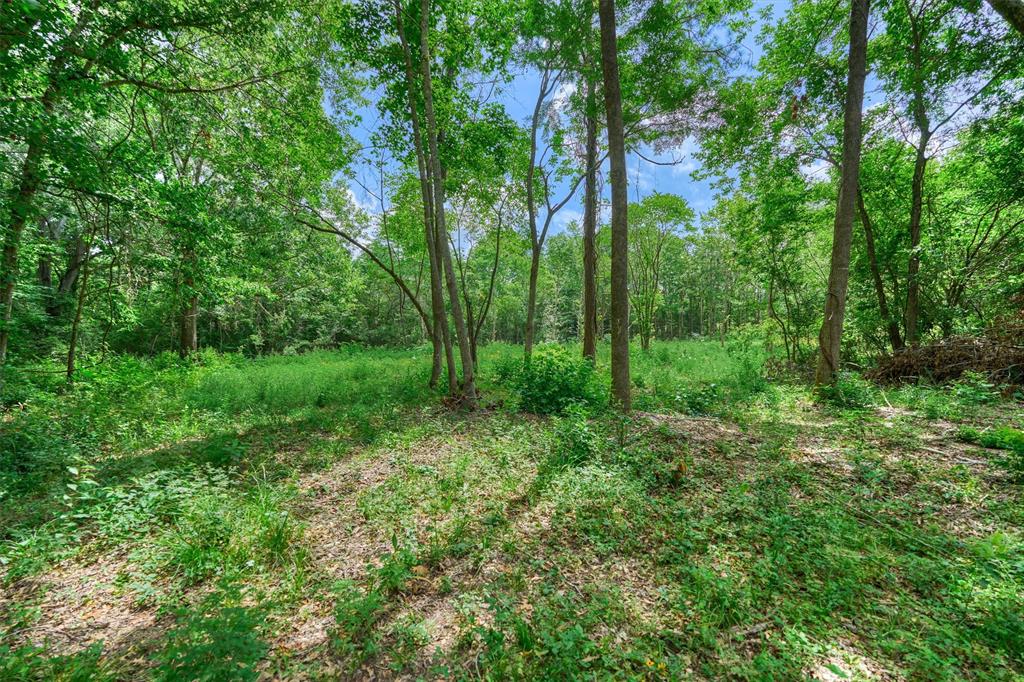 Tract C Sharp View Road, Montgomery, Texas image 9