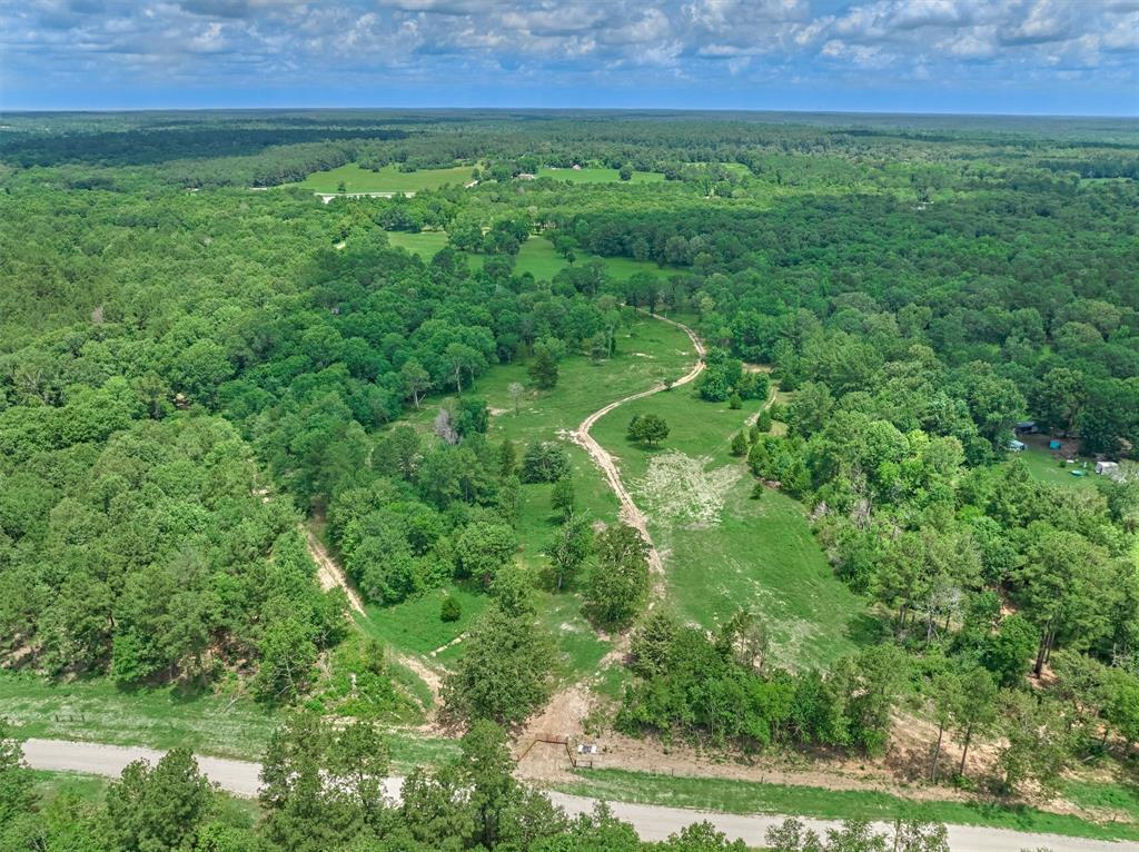 Tract C Sharp View Road, Montgomery, Texas image 15