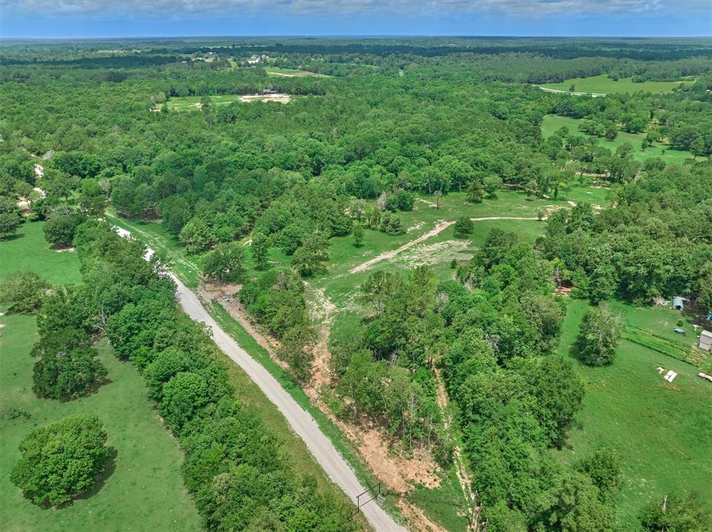 Tract C Sharp View Road, Montgomery, Texas image 16