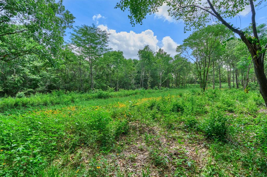 Tract C Sharp View Road, Montgomery, Texas image 7