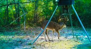 End Of S Tailrace Rd, Burkeville, Texas image 41