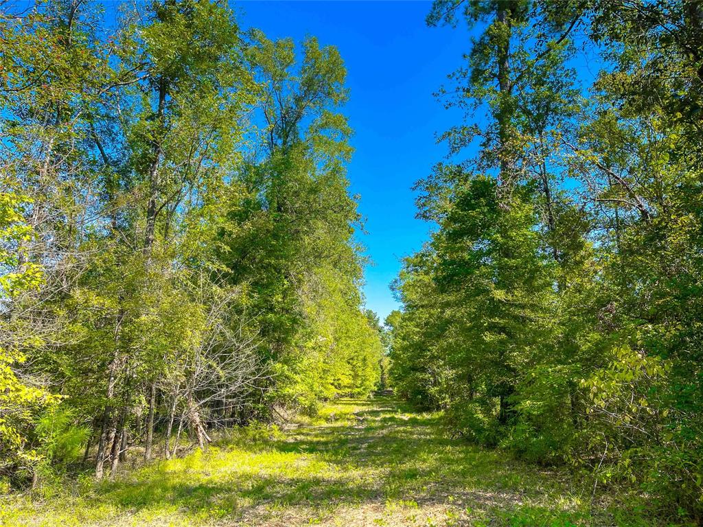 End Of S Tailrace Rd, Burkeville, Texas image 18