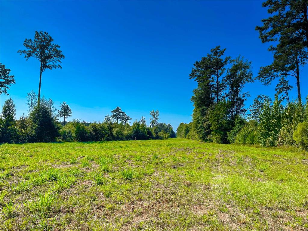 End Of S Tailrace Rd, Burkeville, Texas image 16