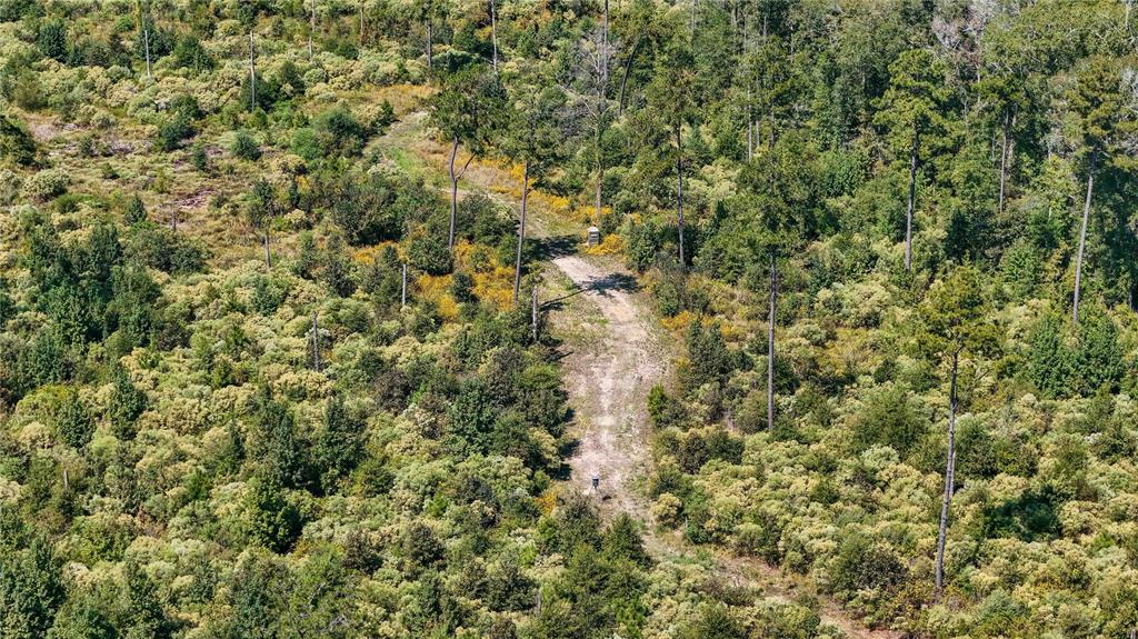 End Of S Tailrace Rd, Burkeville, Texas image 34