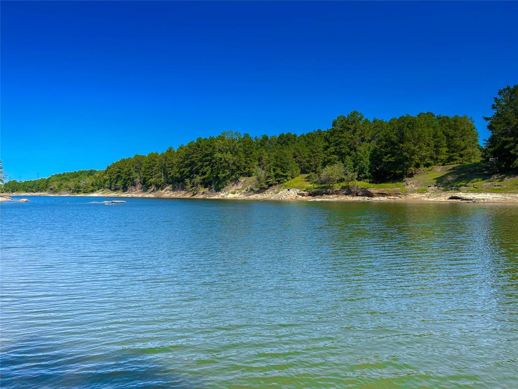 End Of S Tailrace Rd, Burkeville, Texas image 11