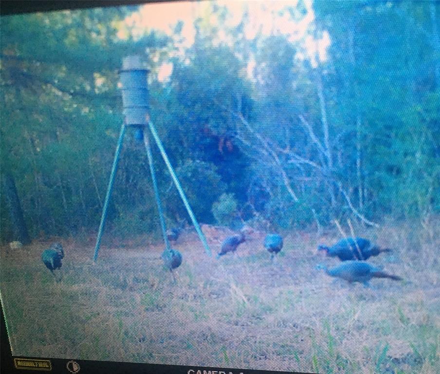 End Of S Tailrace Rd, Burkeville, Texas image 44