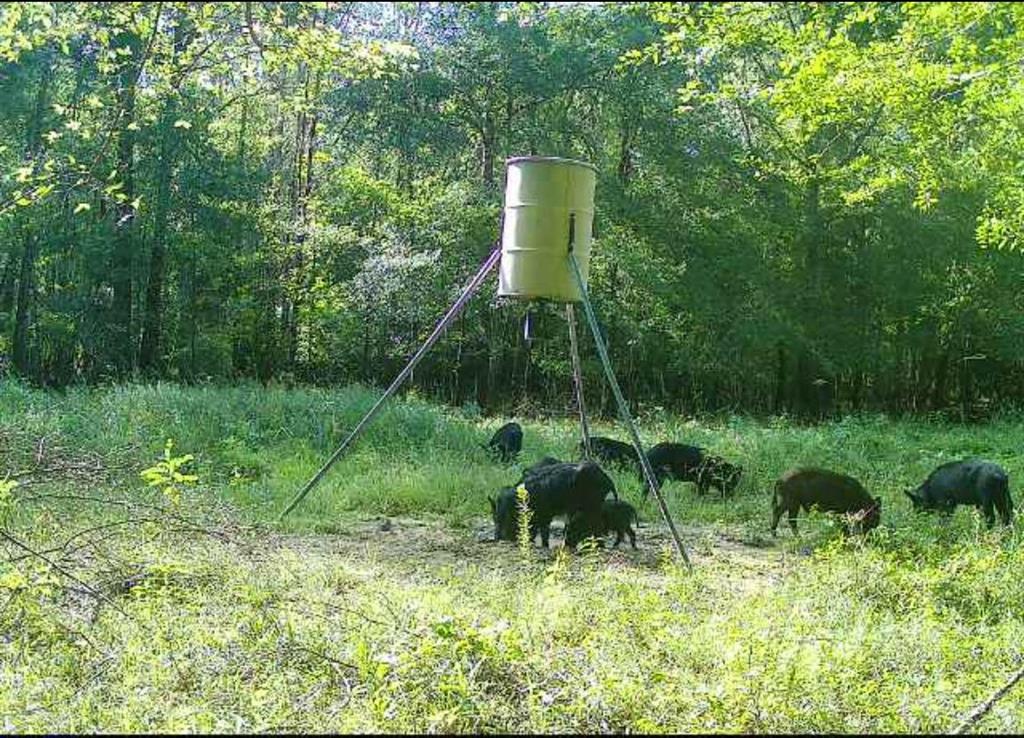 End Of S Tailrace Rd, Burkeville, Texas image 50