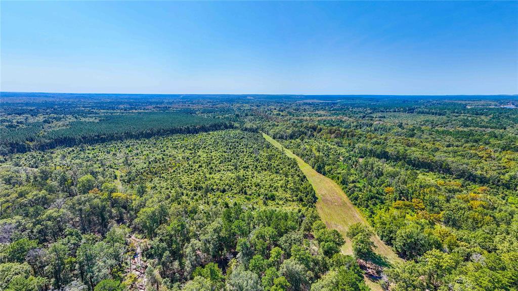 End Of S Tailrace Rd, Burkeville, Texas image 5