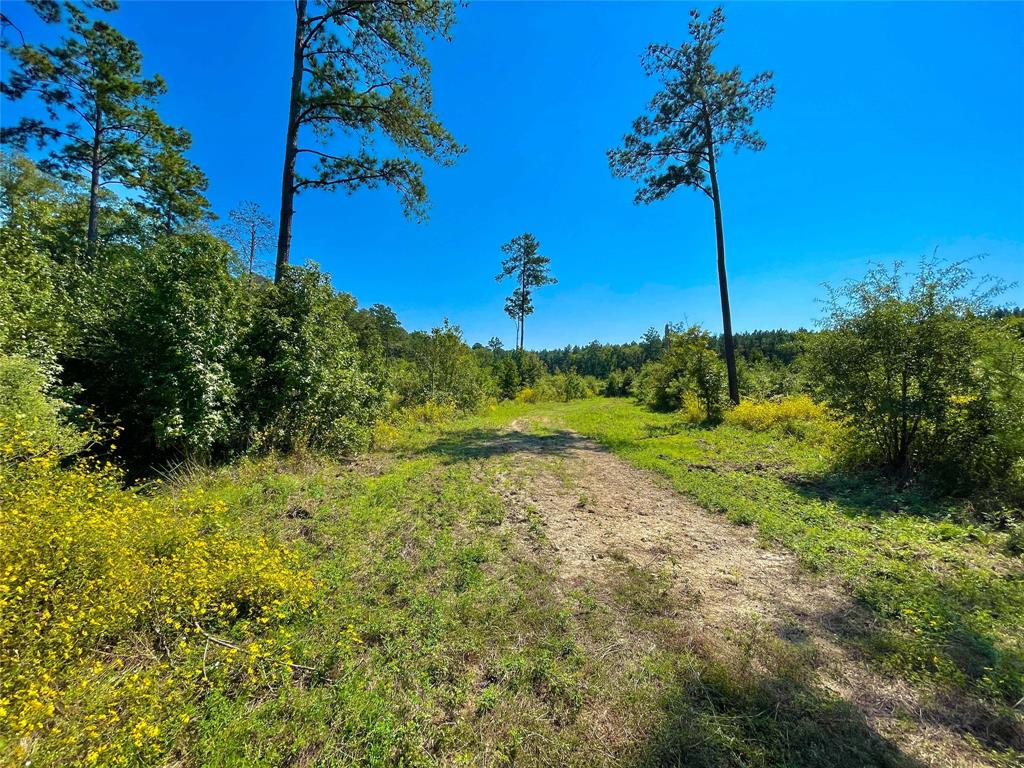 End Of S Tailrace Rd, Burkeville, Texas image 27