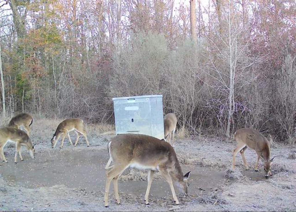 End Of S Tailrace Rd, Burkeville, Texas image 48