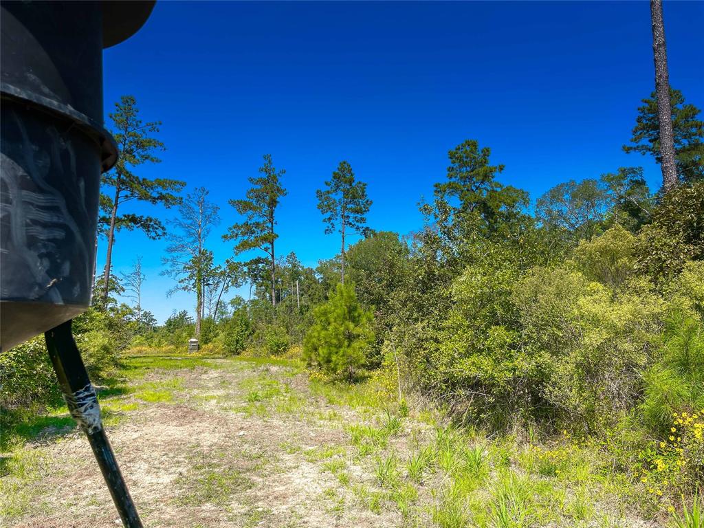 End Of S Tailrace Rd, Burkeville, Texas image 28