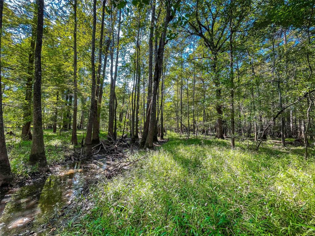 End Of S Tailrace Rd, Burkeville, Texas image 14