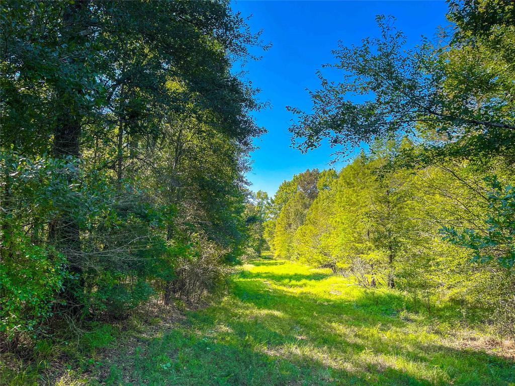 End Of S Tailrace Rd, Burkeville, Texas image 21