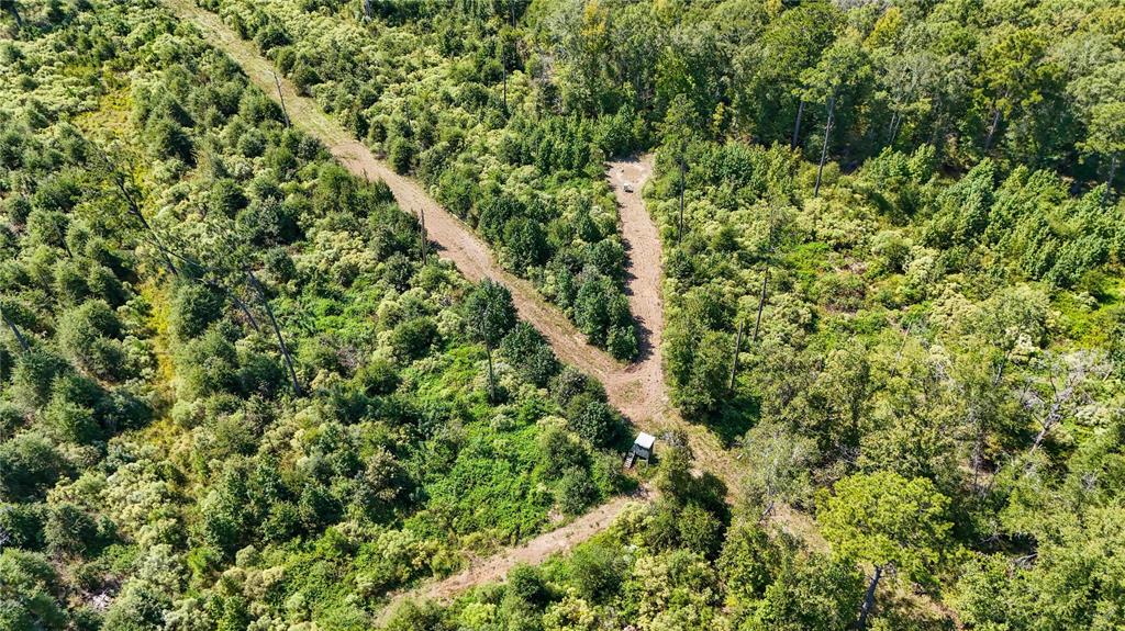 End Of S Tailrace Rd, Burkeville, Texas image 35