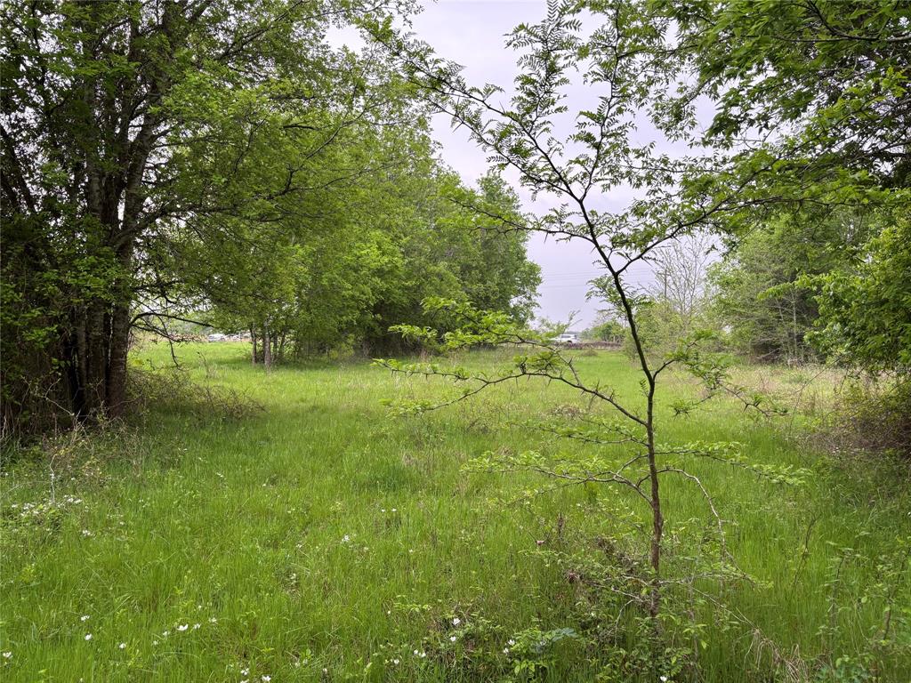 11151 E Fm 485, Cameron, Texas image 6