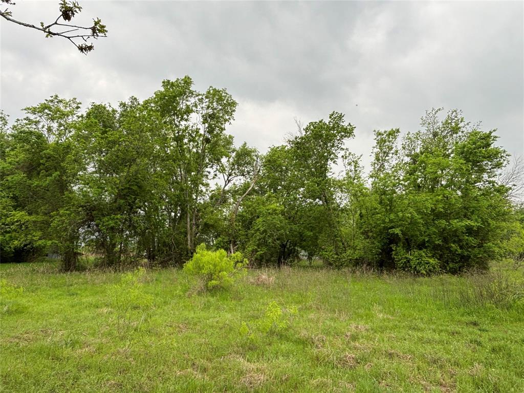 11151 E Fm 485, Cameron, Texas image 18
