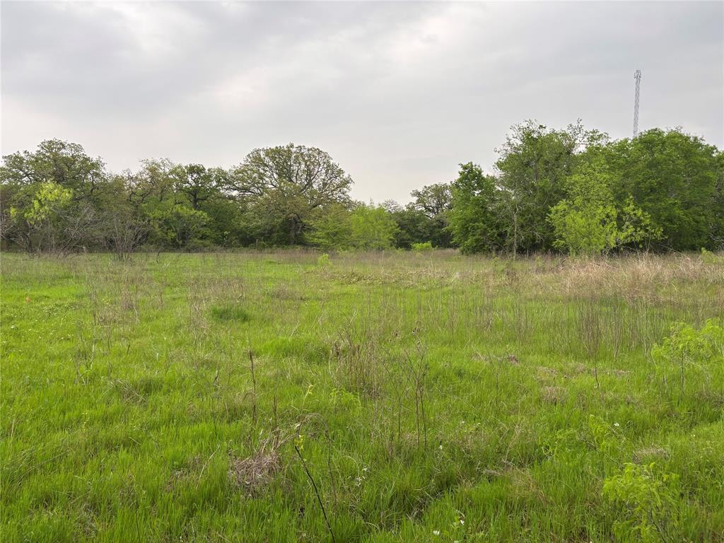 11151 E Fm 485, Cameron, Texas image 10