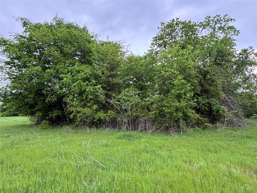 11151 E Fm 485, Cameron, Texas image 24