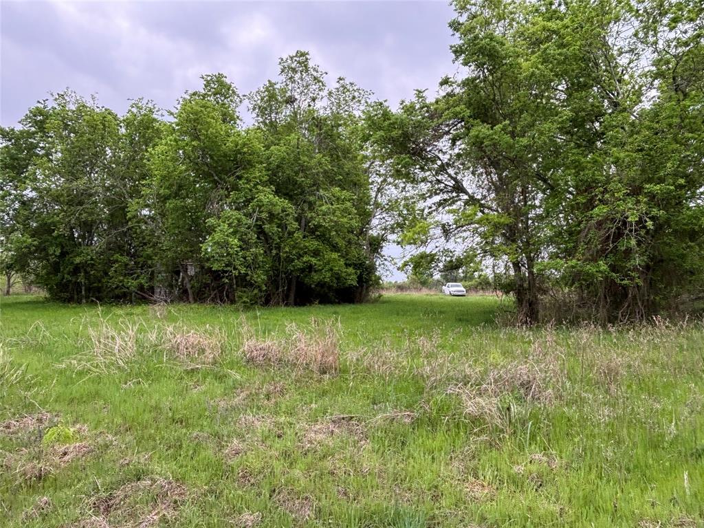 11151 E Fm 485, Cameron, Texas image 19
