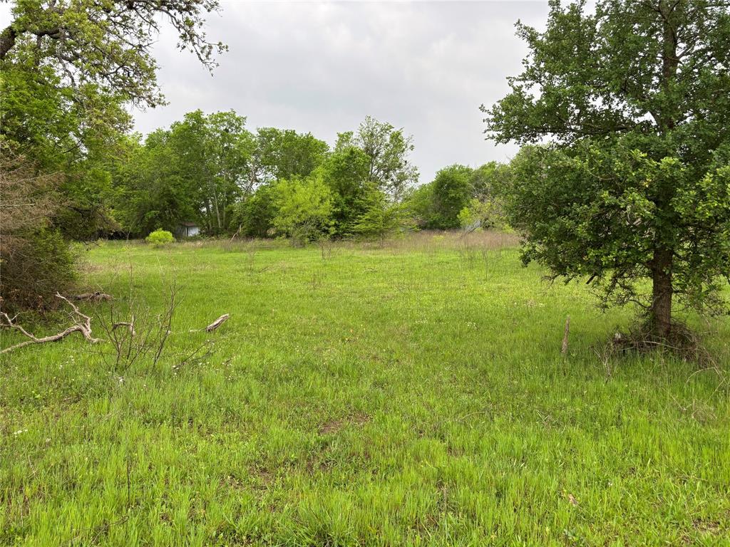 11151 E Fm 485, Cameron, Texas image 13
