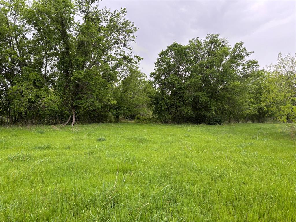 11151 E Fm 485, Cameron, Texas image 3