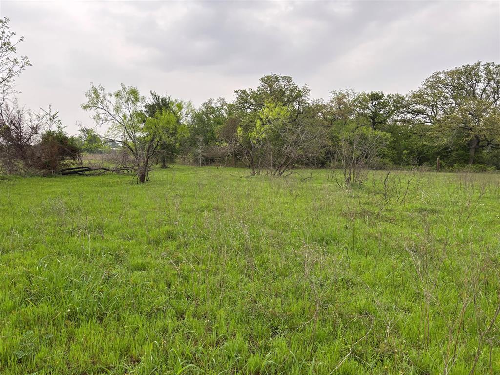 11151 E Fm 485, Cameron, Texas image 14