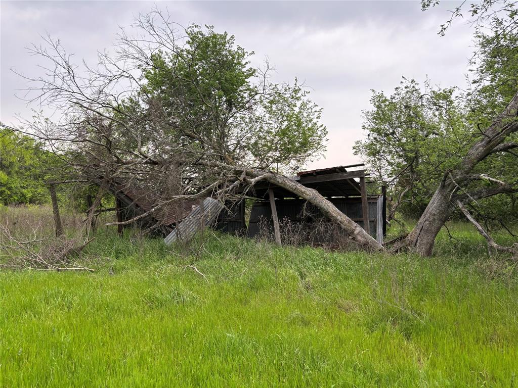 11151 E Fm 485, Cameron, Texas image 2