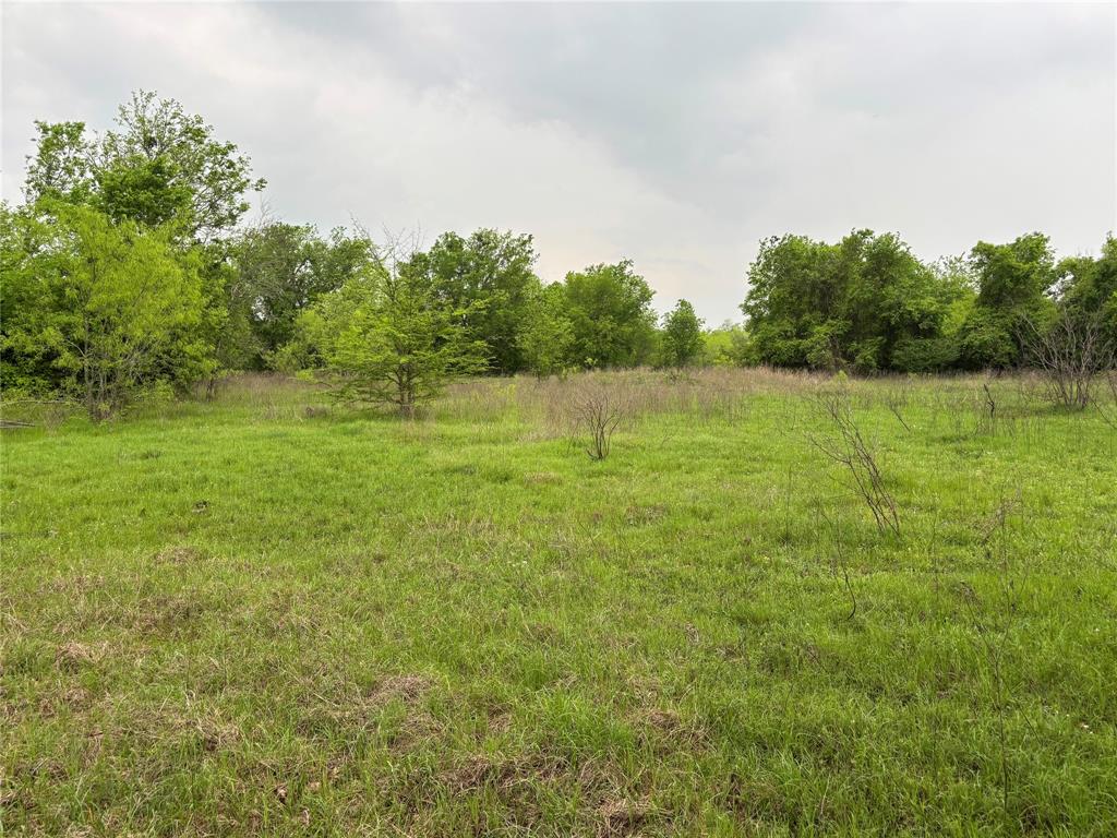 11151 E Fm 485, Cameron, Texas image 17
