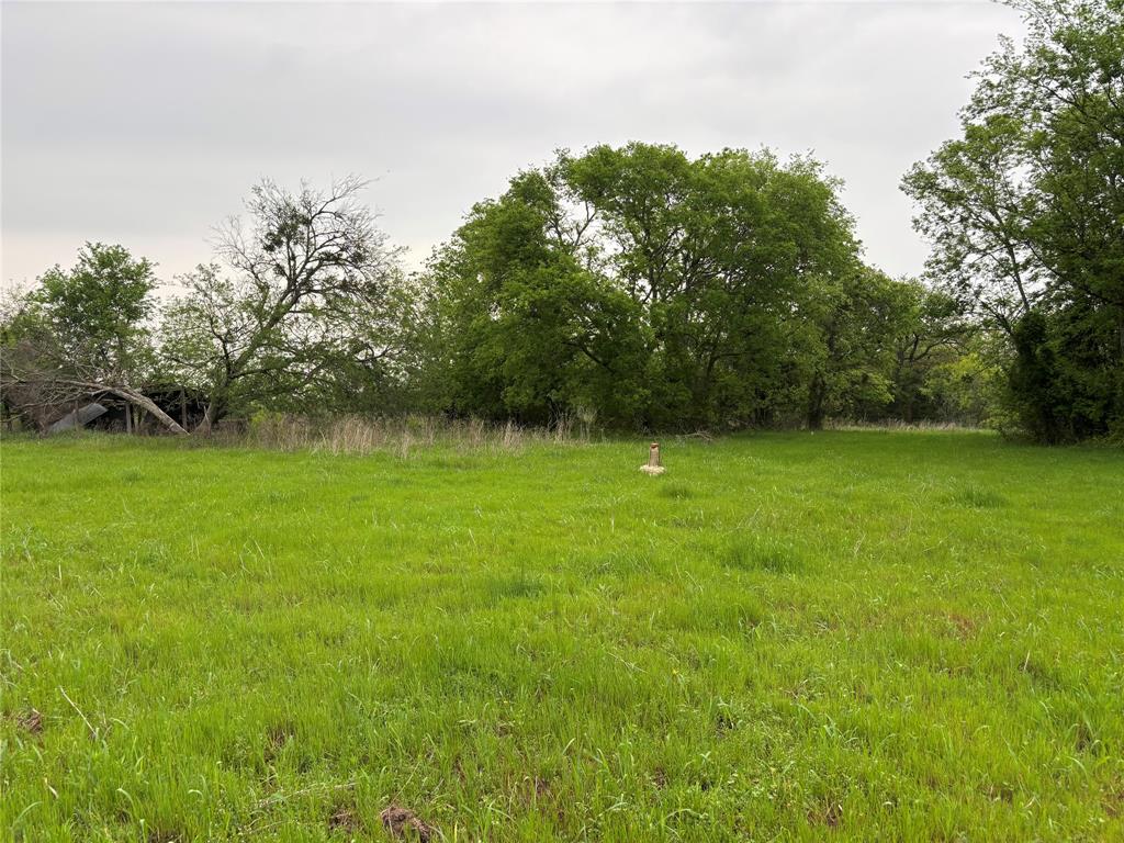 11151 E Fm 485, Cameron, Texas image 4