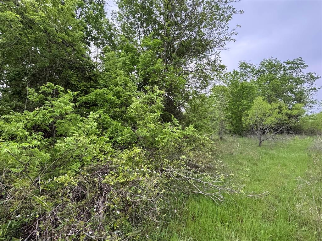 11151 E Fm 485, Cameron, Texas image 9