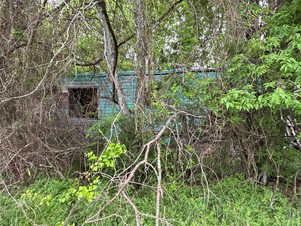 11151 E Fm 485, Cameron, Texas image 22