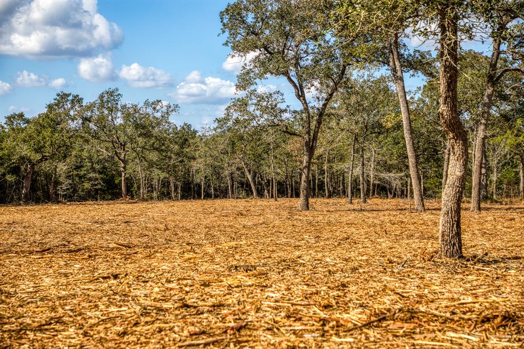 TBD Wildlife Circle, Carmine, Texas image 6