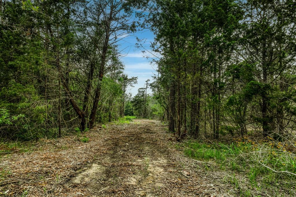 TBD Wildlife Circle, Carmine, Texas image 12