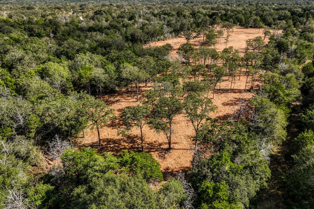 TBD Wildlife Circle, Carmine, Texas image 9