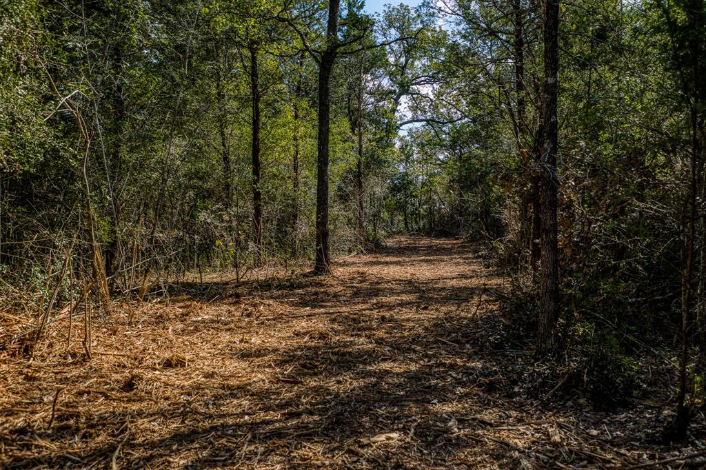 TBD Wildlife Circle, Carmine, Texas image 4