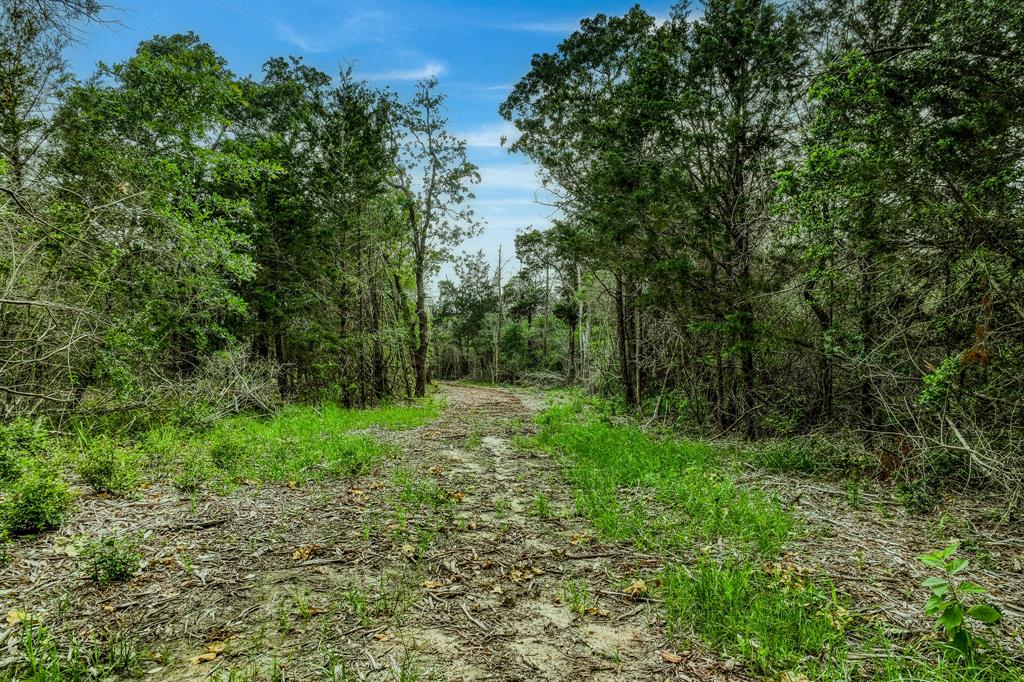 TBD Wildlife Circle, Carmine, Texas image 14