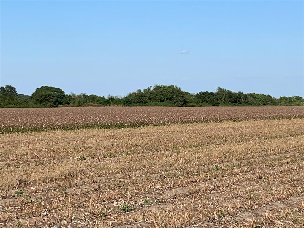 00 County Rd 356, Louise, Texas image 2