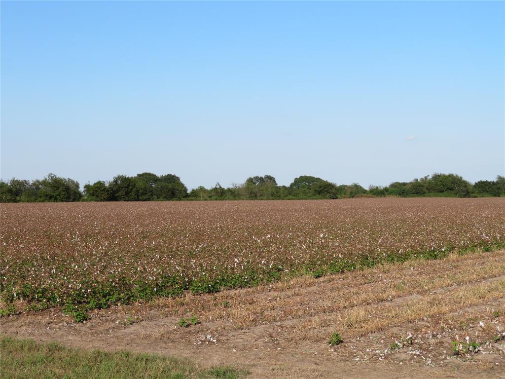 00 County Rd 356, Louise, Texas image 3