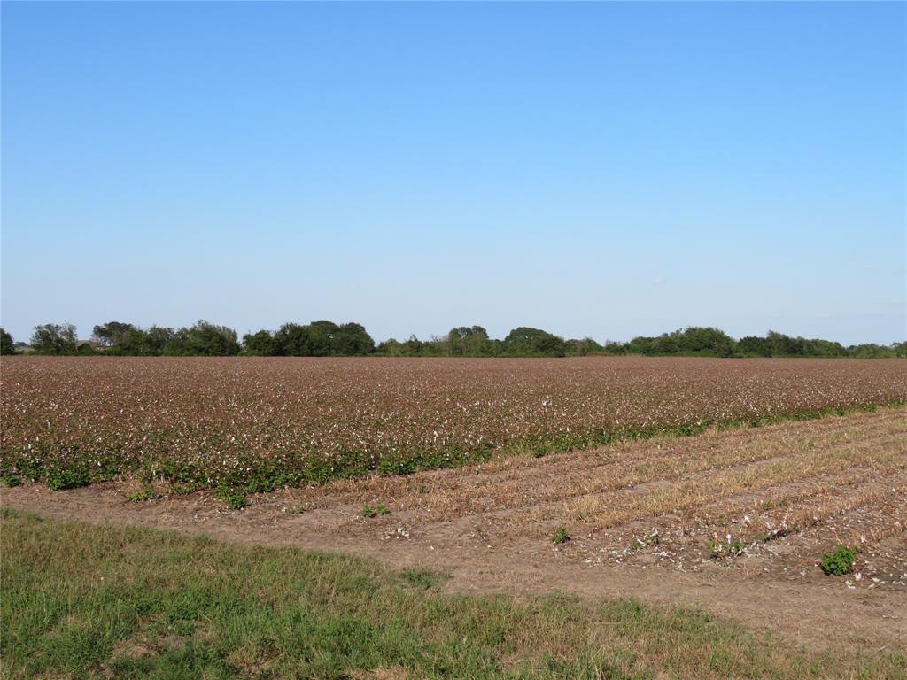 00 County Rd 356, Louise, Texas image 4