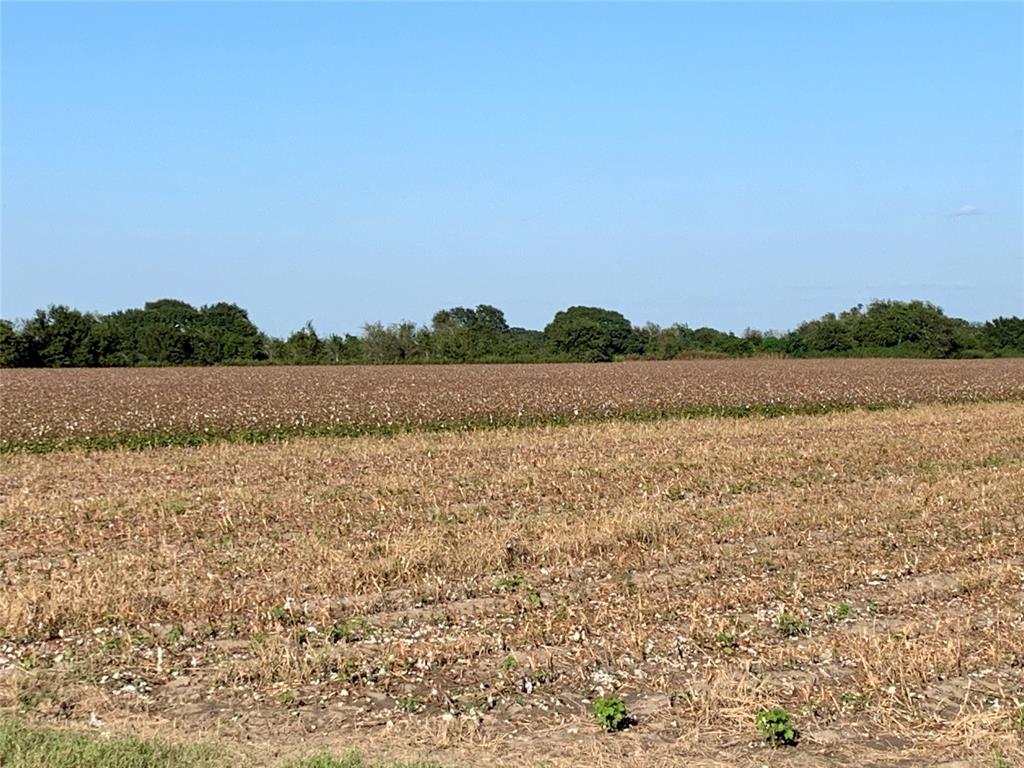 00 County Rd 356, Louise, Texas image 5