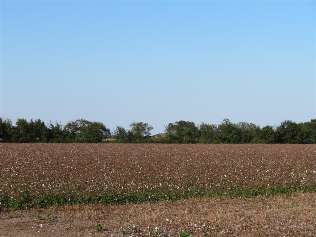 00 County Rd 356, Louise, Texas image 7