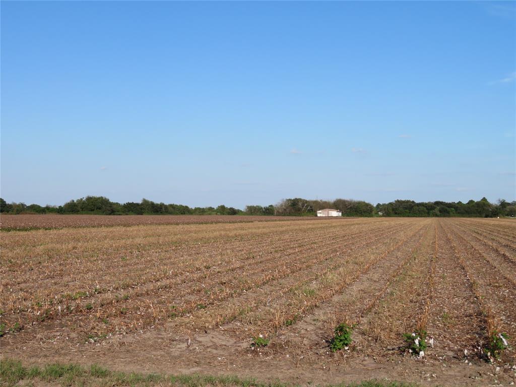 00 County Rd 356, Louise, Texas image 8