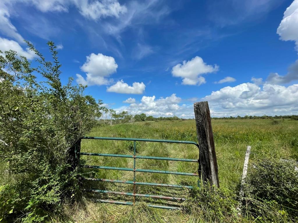 County Road 203, Danbury, Texas image 9