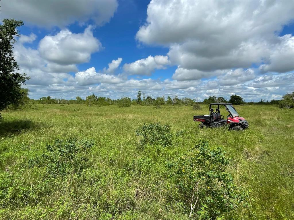 County Road 203, Danbury, Texas image 10