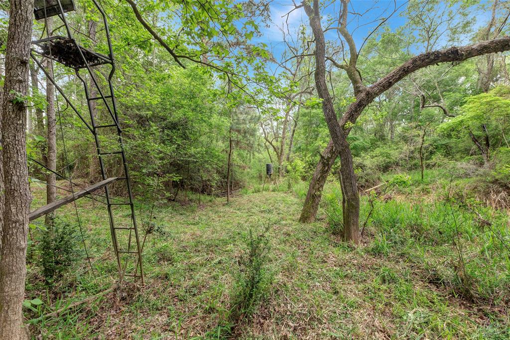 14903 Wildwood Trace, Magnolia, Texas image 43