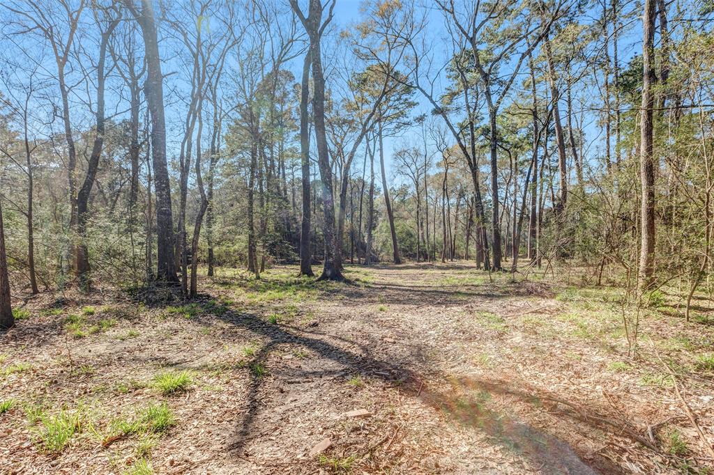14903 Wildwood Trace, Magnolia, Texas image 44
